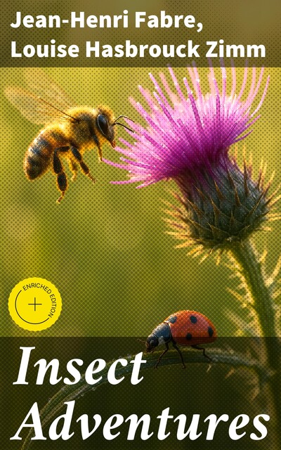 Insect Adventures, Jean-Henri Fabre, Louise Hasbrouck Zimm
