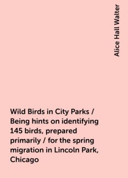 Wild Birds in City Parks / Being hints on identifying 145 birds, prepared primarily / for the spring migration in Lincoln Park, Chicago, Alice Hall Walter