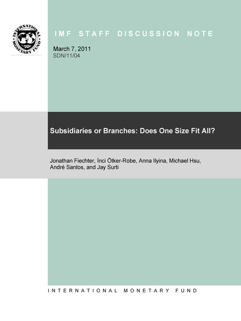Subsidiaries or Branches: Does One Size Fit All?, Jonathan Fiechter