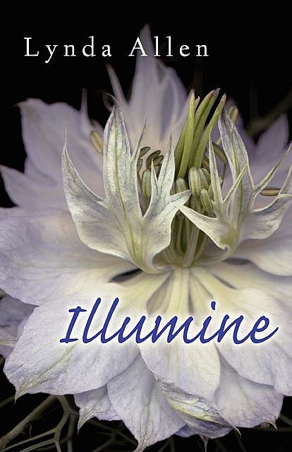 Illumine, Linda Allen