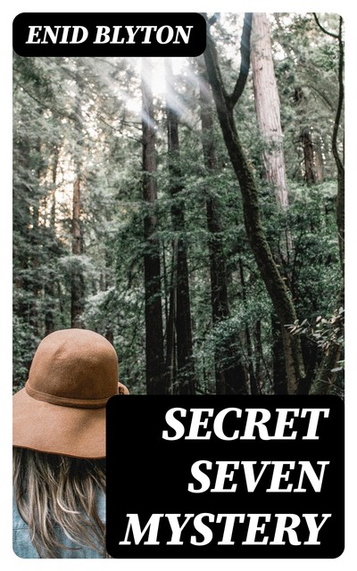 Secret Seven Mystery, Enid Blyton