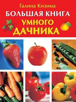 Большая книга умного дачника, Галина Кизима