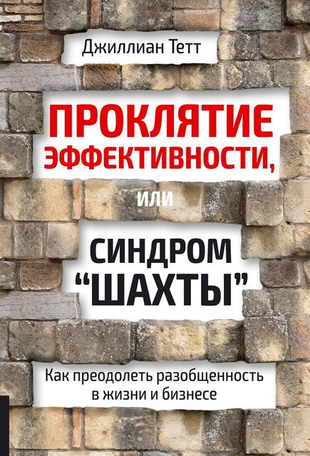 Проклятие эффективности, или Синдром “шахты”, Джиллиан Тетт