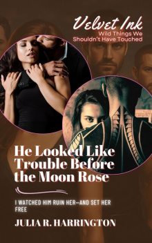 He Looked Like Trouble Before the Moon Rose, Julia R. Harrington