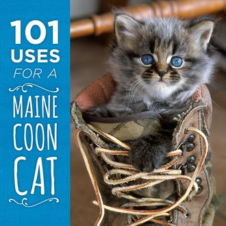 101 Uses for a Maine Coon Cat, 