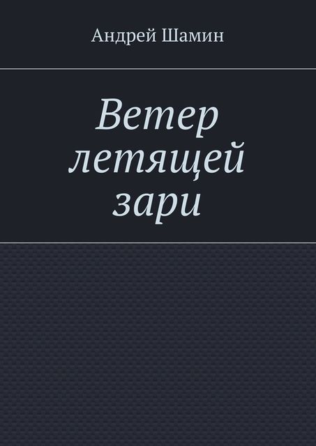 Ветер летящей зари, Андрей Шамин