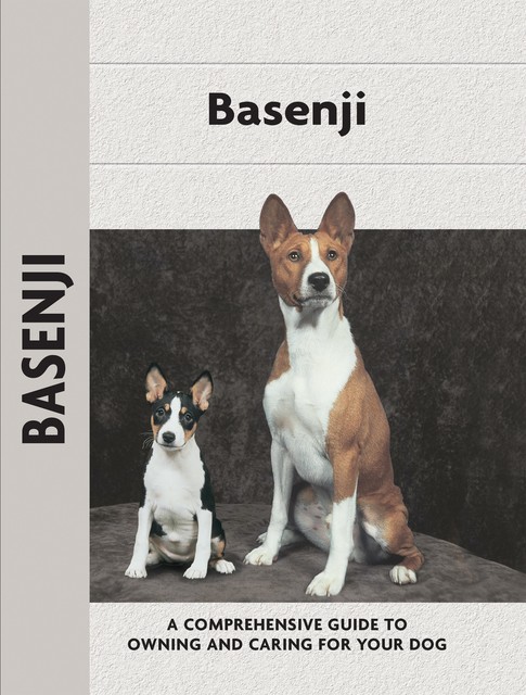 Basenji, Juliette Cunliffe