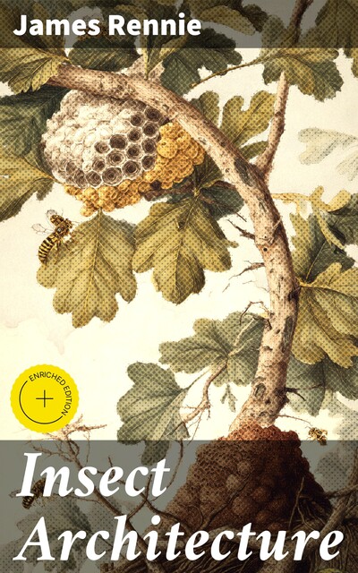Insect Architecture, James Rennie