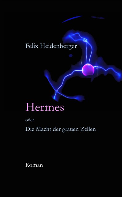 Hermes oder Die Macht der grauen Zellen, Felix Heidenberger