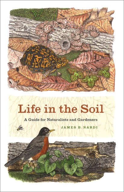 Life in the Soil, James Nardi