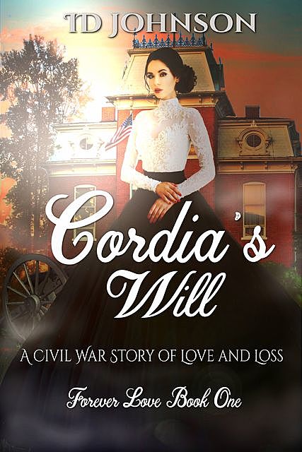 A Civil War Story of Love and Loss, ID Johnson