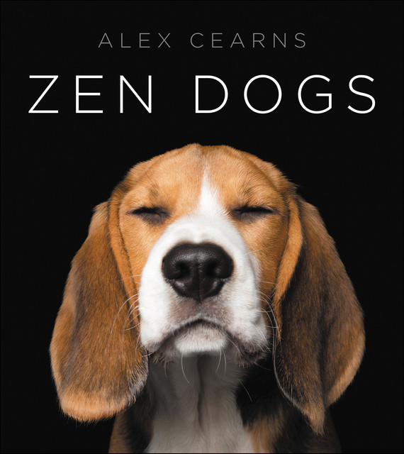 Zen Dogs, Alex Cearns