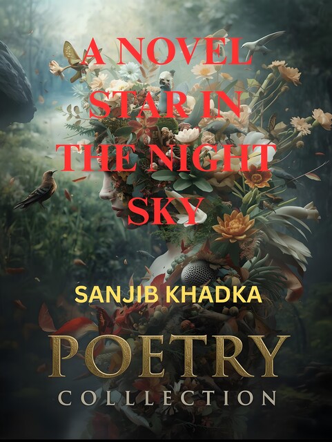 A novel star in the night sky, Sanjib Khadka