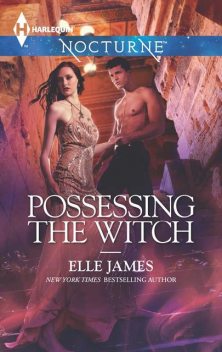 Possessing the Witch, Elle James