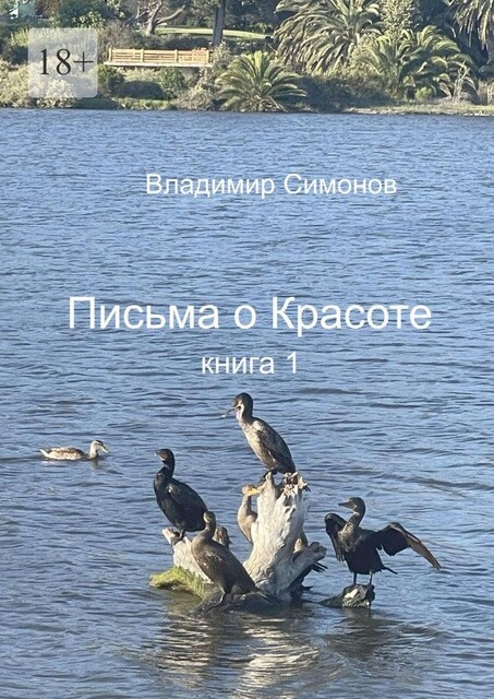 Письма о Красоте. Книга 1, Владимир Симонов