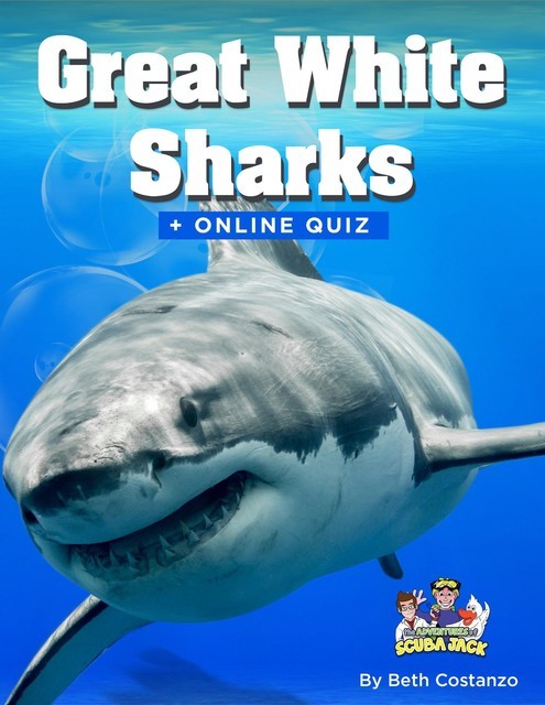Great White Shark Activity Book for ages 4–8 years of age, Beth Costanzo