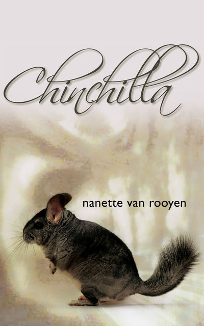 Chinchilla, Nanette van Rooyen