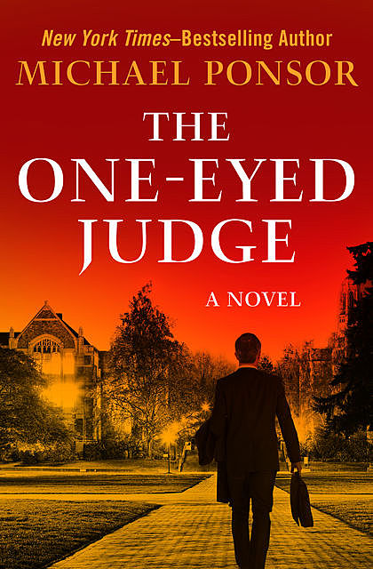 The One-Eyed Judge, Michael Ponsor