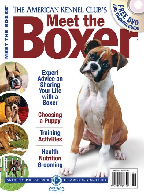 Meet the Boxer, Dog Fancy Magazine