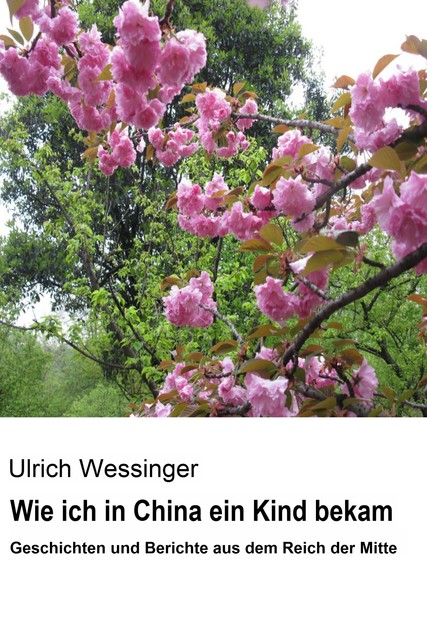 Wie ich in China ein Kind bekam, Ulrich Wessinger