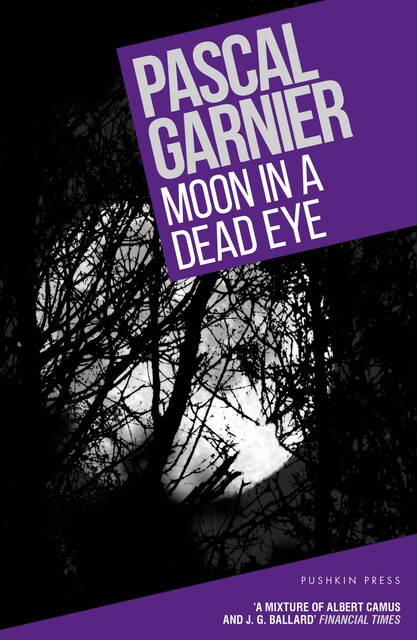 Moon in a Dead Eye, Pascal Garnier