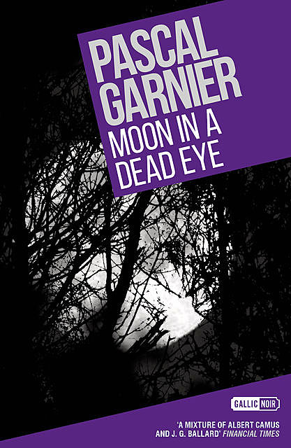 Moon in a Dead Eye, Pascal Garnier