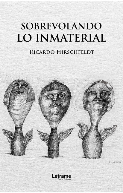 Sobrevolando lo inmaterial, Ricardo Hirschefeldt