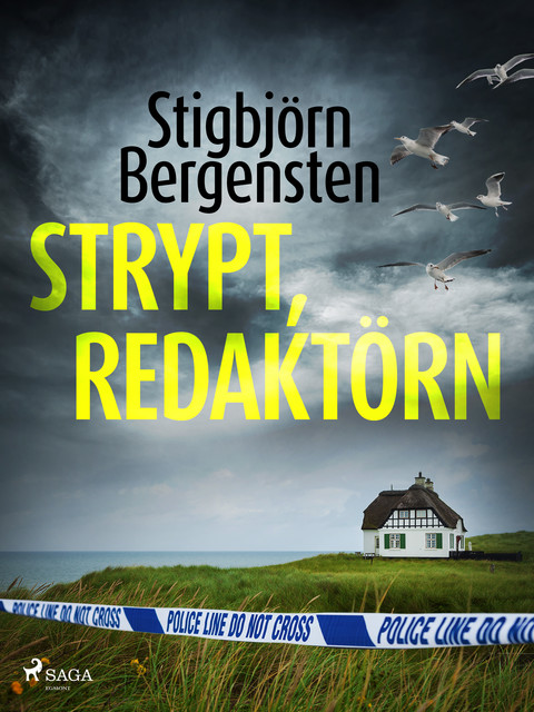 Strypt, redaktörn, Stigbjörn Bergensten