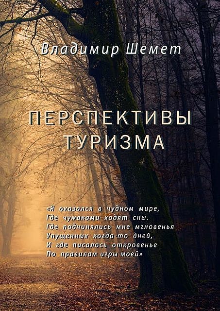 Перспективы туризма, Владимир Шемет