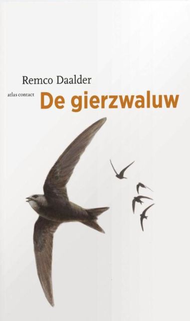 De gierzwaluw, Remco Daalder