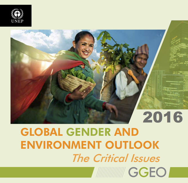 Global Gender and Environment Outlook 2016: The Critical Issues, United Nations Environment Programme