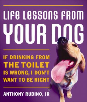 Life Lessons from Your Dog, Anthony Rubino