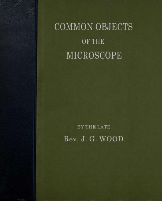 Common Objects of the Microscope, J.G. Wood