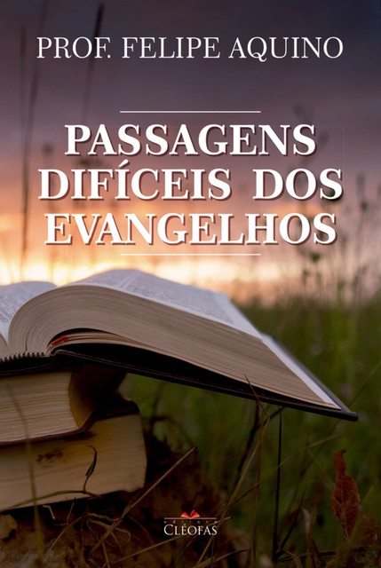 Passagens difíceis dos Evangelhos, Felipe Aquino