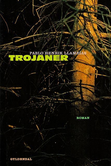 Trojaner, Pablo Llambías