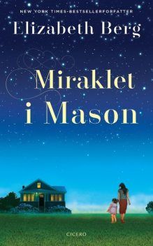 Miraklet i Mason, Elizabeth Berg