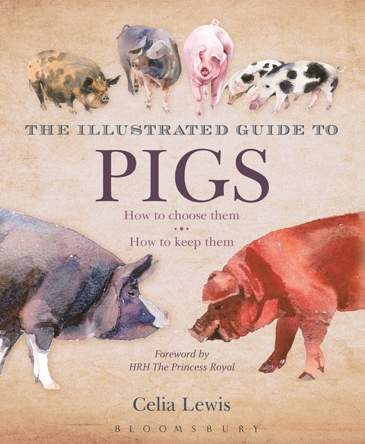 The Illustrated Guide to Pigs, Celia Lewis