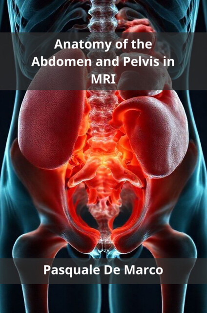 Anatomy of the Abdomen and Pelvis in MRI, Pasquale De Marco