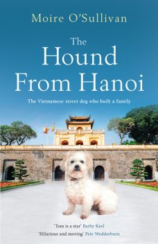 The Hound From Hanoi, Moire O'Sullivan