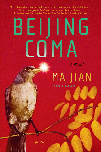 Beijing Coma, Ma Jian