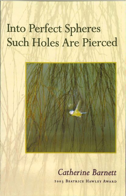 Into Perfect Spheres Such Holes Are Pierced, Catherine Barnett