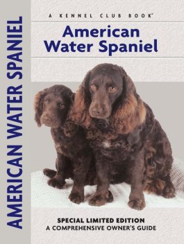 American Water Spaniel, Paul Morrison