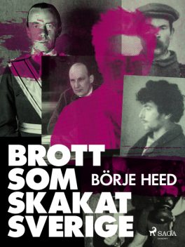 Brott som skakat Sverige, Börje Heed