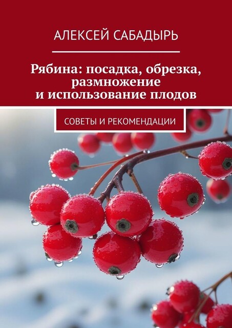Рябина: посадка, обрезка, размножение и использование плодов. Советы и рекомендации, Алексей Сабадырь