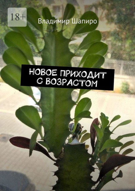 Новое приходит с возрастом, Владимир Шапиро
