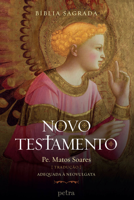Box Bíblia Sagrada: Novo Testamento, Traduzido por Padre Matos Soares