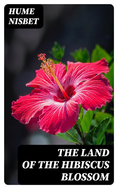The Land of the Hibiscus Blossom, Hume Nisbet