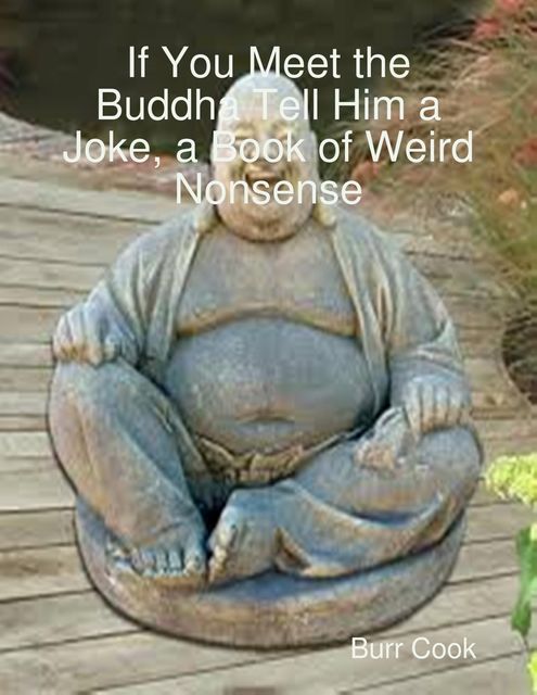 If You Meet the Buddha Tell Him a Joke, a Book of Weird Nonsense, Burr Cook
