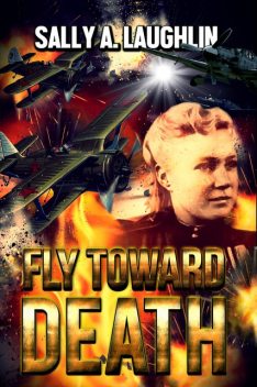 Fly Toward Death, Sally A. Laughlin