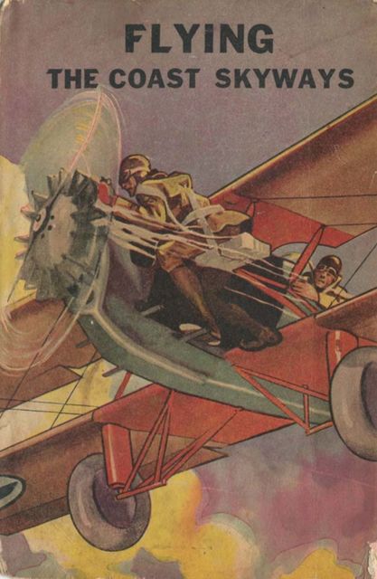 Flying the Coast Skyways. Jack Ralston's Swift Patrol, Ambrose Newcomb